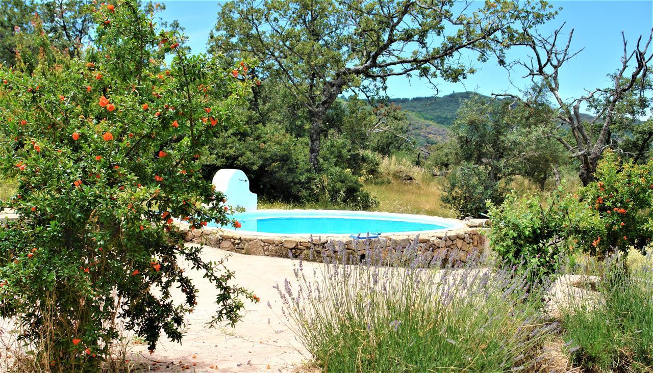 Gasthaus Quinta Do Marvao Exterior foto